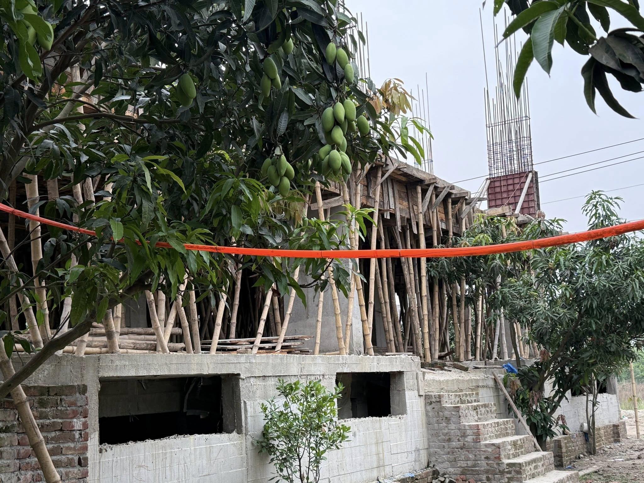 First Floor (Unit C)